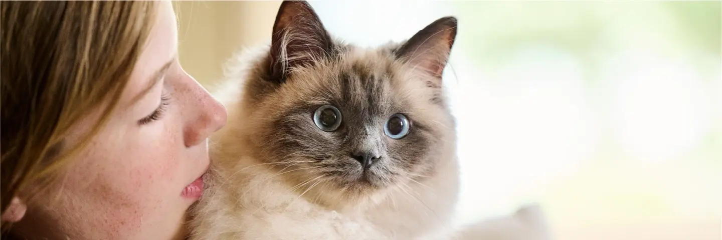 Beaphar Gedrag en training producten voor kat