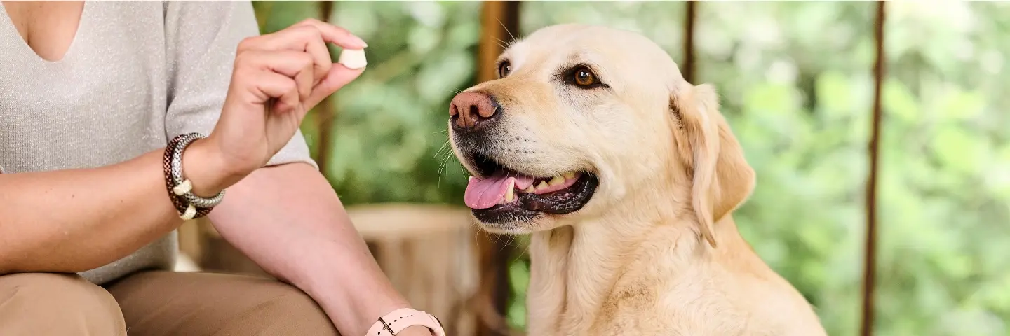 Beaphar Voeding en snacks voor honden