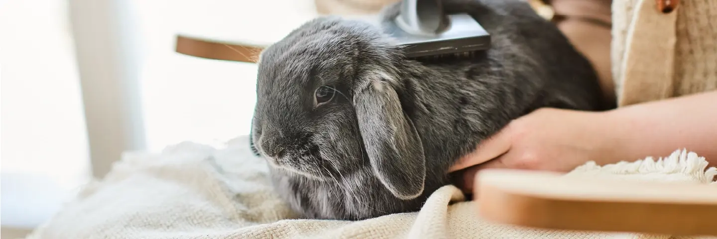 Beaphar verzorging konijn